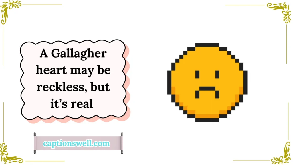 Emotional Frank Gallagher Sayings