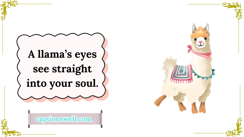 Emotional Funny Llama 