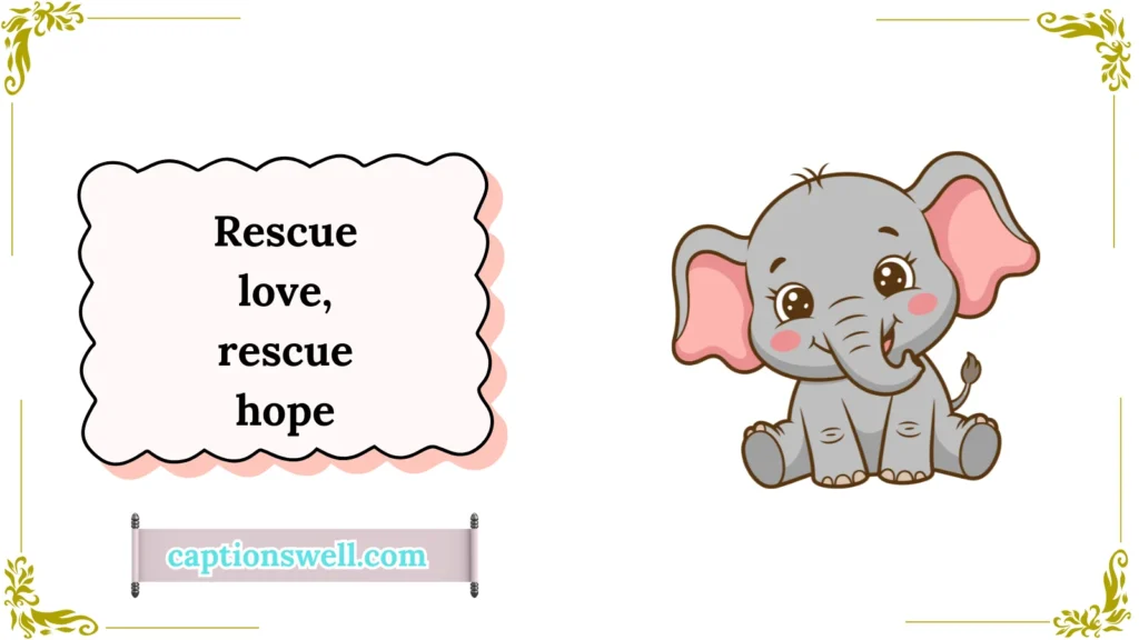 Sweet Quotes on Animal Rescue 