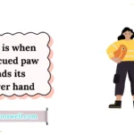 Best Quotes on Animal Rescue