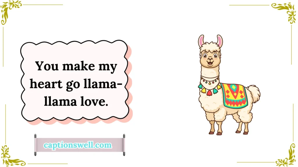 Funny Llama Sayings